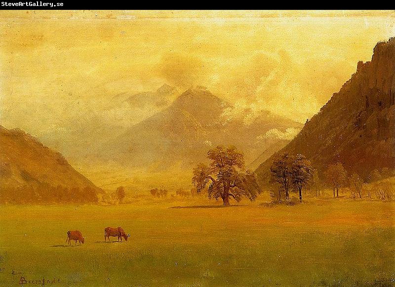 Albert Bierstadt Rhone Valley